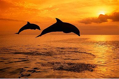 《异星工厂》新DLC太空时代发售 好评如潮大家爱玩